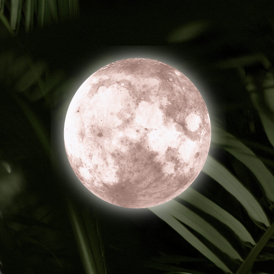 October Full Moon + Sound with Sonali