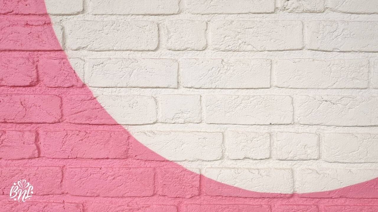BNL Zoom Background .jpg