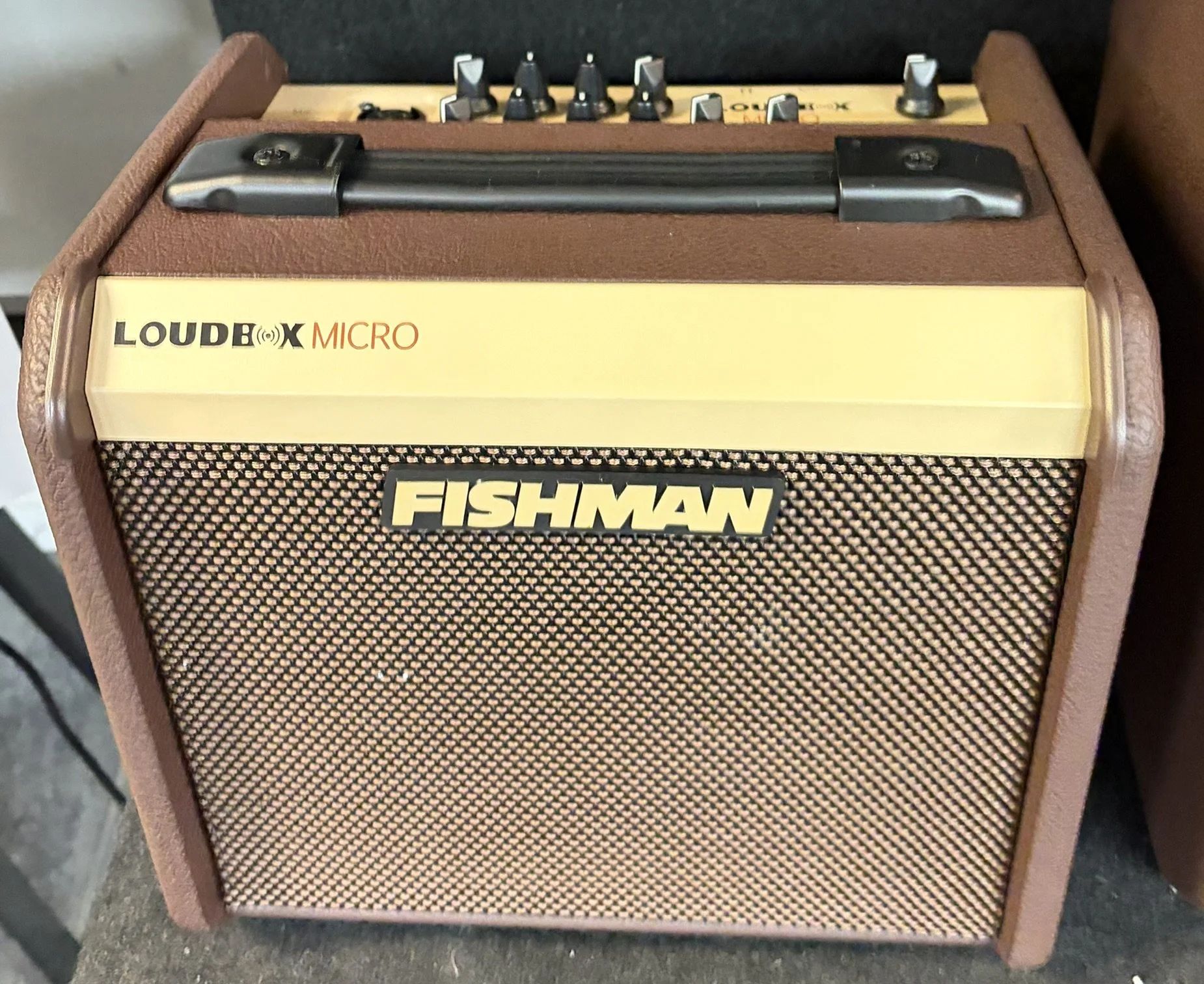 Fishman LoudBox Micro