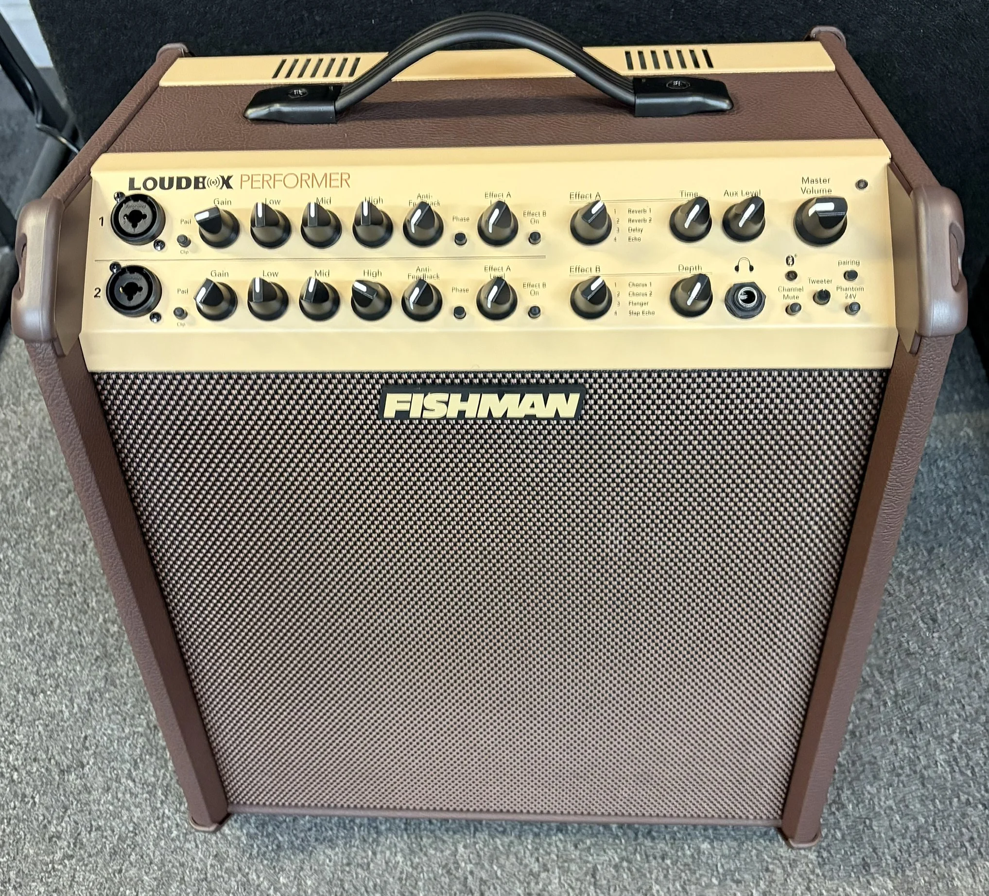 Fishman LoudBox Performer