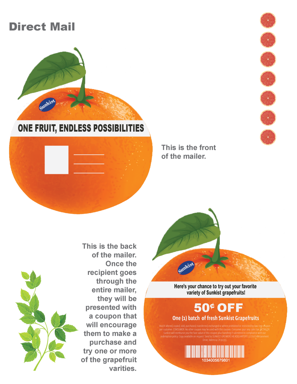 Grapefruit-12-1200x1552.png