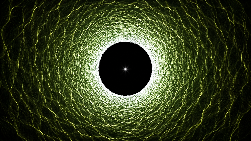 Fluid
