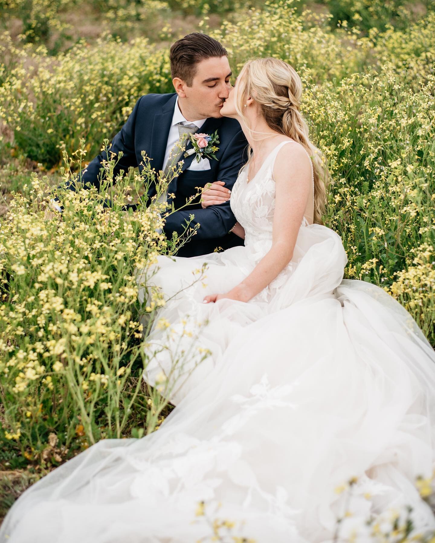 When I say today was ✨magical✨ I really, really mean it.
You could not find a more laid back bride + groom. These two were an absolute dream to work with and they put together the most gorgeous wedding day! I would happily photograph them every singl