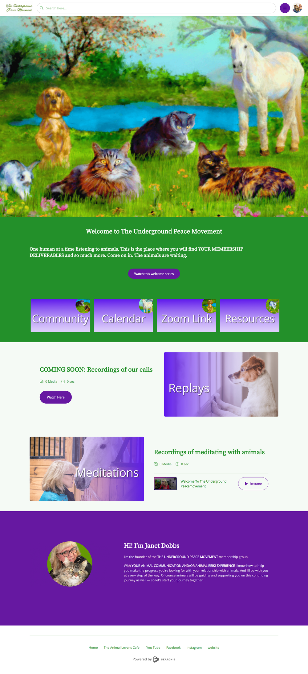 This Animal Reiki Pro Ditched Ruziki for Searchie—and Loves it! — Shell Creative This Animal Reiki Pro Ditched Ruziki for Searchie—and Loves it! — Shell Creative