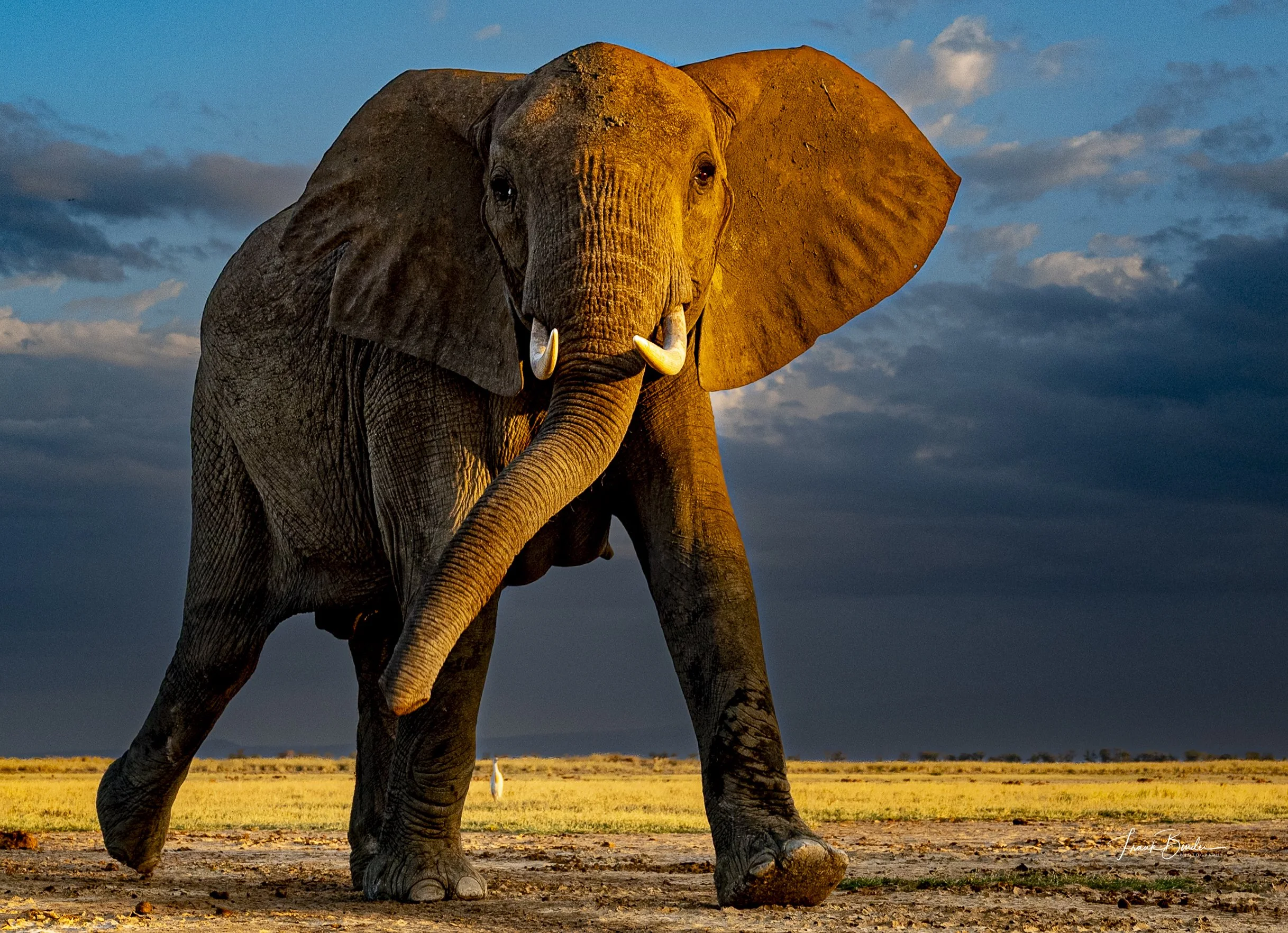 Here's looking at you!