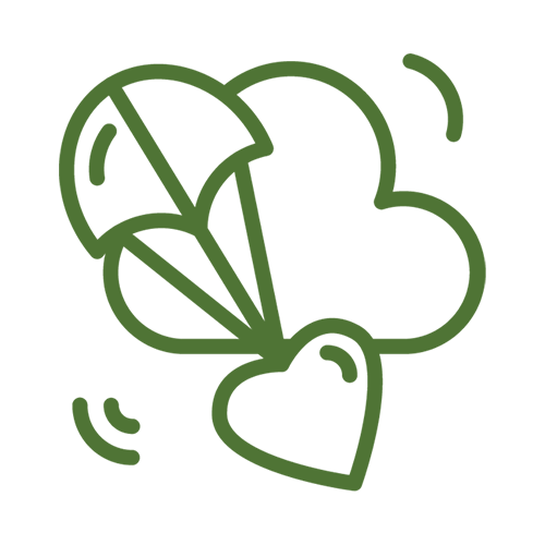 Gift a Memorial or Honorary Donation