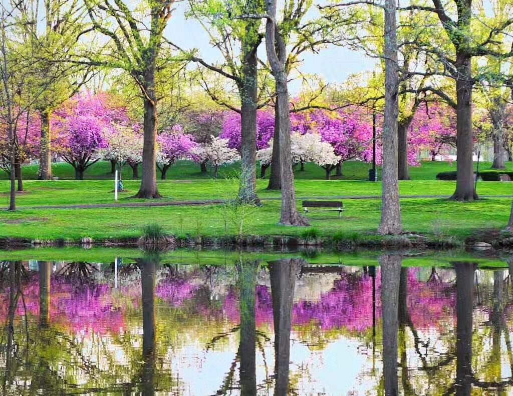 Spring is right around the corner.  We can't wait for all the blooms. Can you? 🌳🌳🌳

Photo by Laurie Patrimonio
*
*#loveourparks #springtime #rahwayriverparkway #springvibes #Getoutside #forrp #rahwayriver #just_newjersey #njparks #njiinbloom #njis
