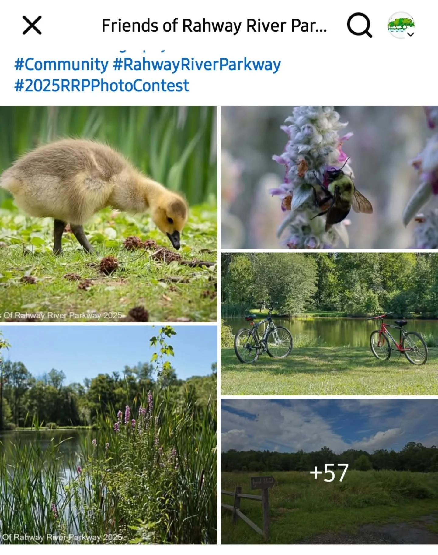 LET'S START VOTING! 2025 RAHWAY RIVER PARKWAY PHOTO CONTEST &ndash; PEOPLE&rsquo;S CHOICE AWARD 🌟
VOTING CLOSES SATURDAY, OCTOBER 12TH at MIDNIGHT!

We&rsquo;re excited to announce the return of the People&rsquo;s Choice Award for this year&rsquo;s 