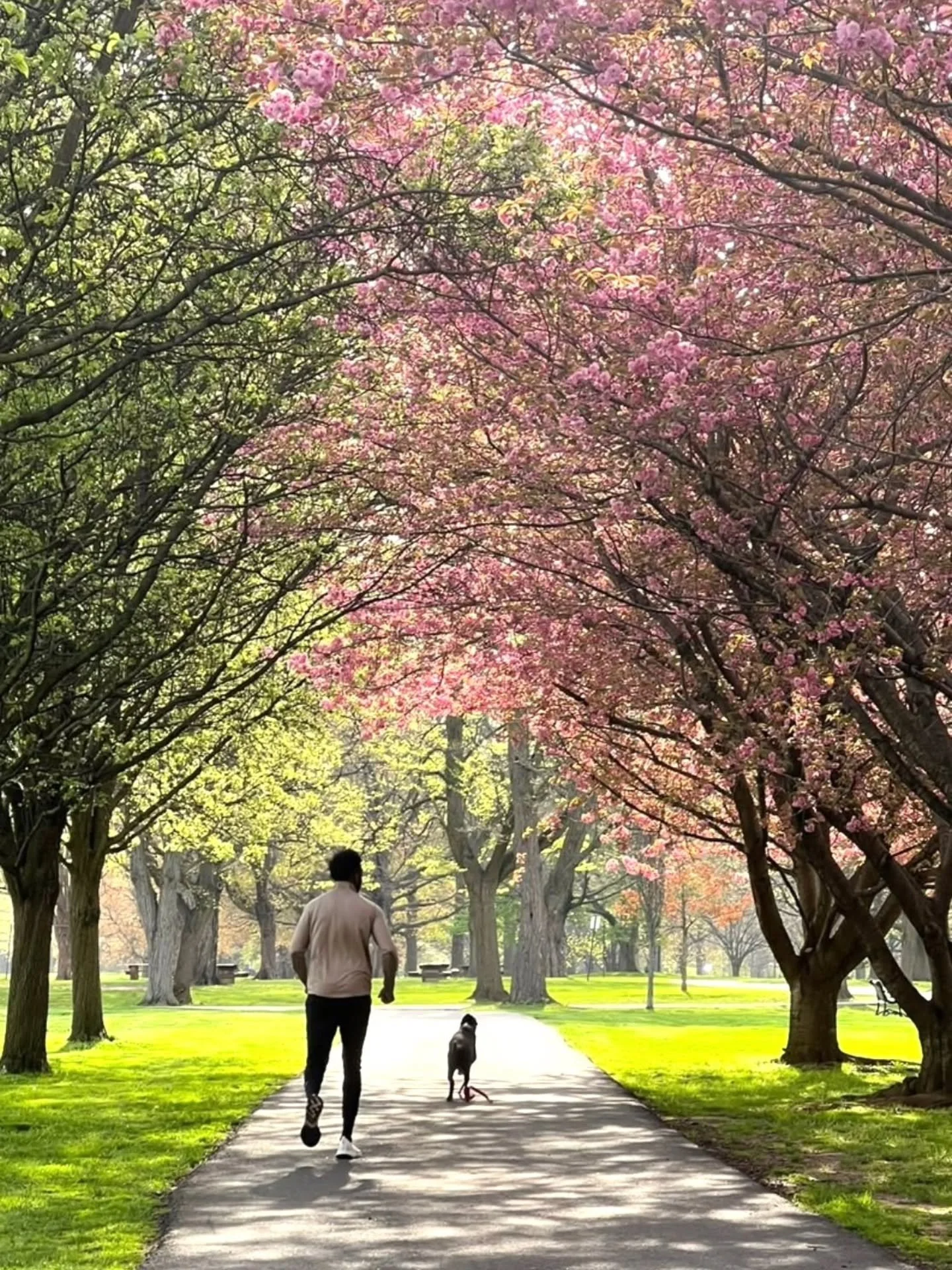 🐾 Pupparazzi on the Parkway Photo Contest Winners Announcement! 🐾

We loved seeing all the amazing pups who make our parks such a joyful part of the community! From playful fetch sessions to peaceful strolls, every photo captured the spirit of why 