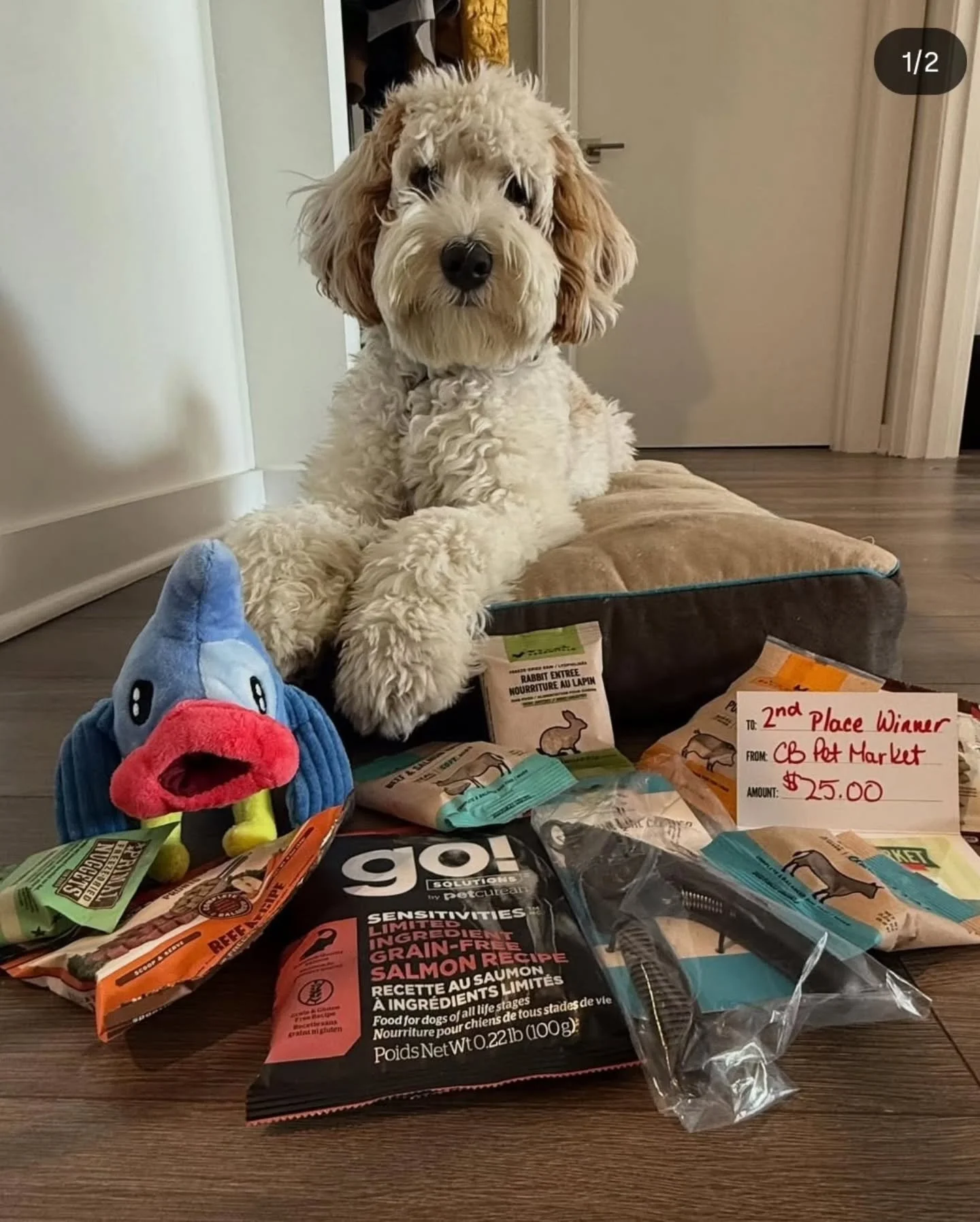 Hey there, handsome Kulfi (@itskulfisworld ), our 2nd Place winner of our Pupparazzi on the Parkway Photo Contest! He picked up his winnings and patiently waited to get into it! 🐾🍒❤️

 Kulfi and all our winners received a gift bag of goodies and a 