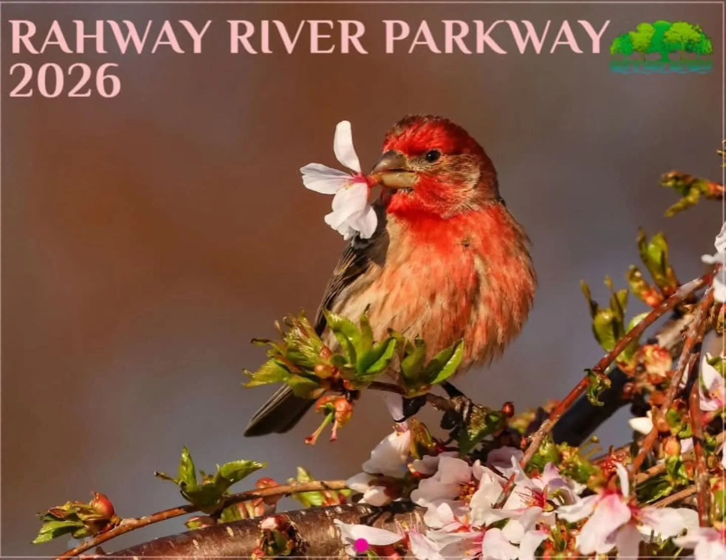 🌸 Cover Reveal &ndash; 2026 Rahway River Parkway Calendar: 10th Anniversary Edition 🌸

We&rsquo;re thrilled to unveil the cover of our 2026 Rahway River Parkway Calendar, marking 10 years of celebrating the beauty and community spirit of our parks!