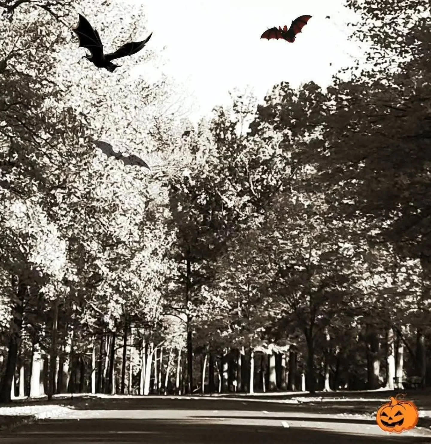 Happy Halloween! 🎃🦇🎃🦇🎃.

#RahwayRiverParkway #Halloween #halloween2025 #Halloweenfun #getouside #loveyourparks