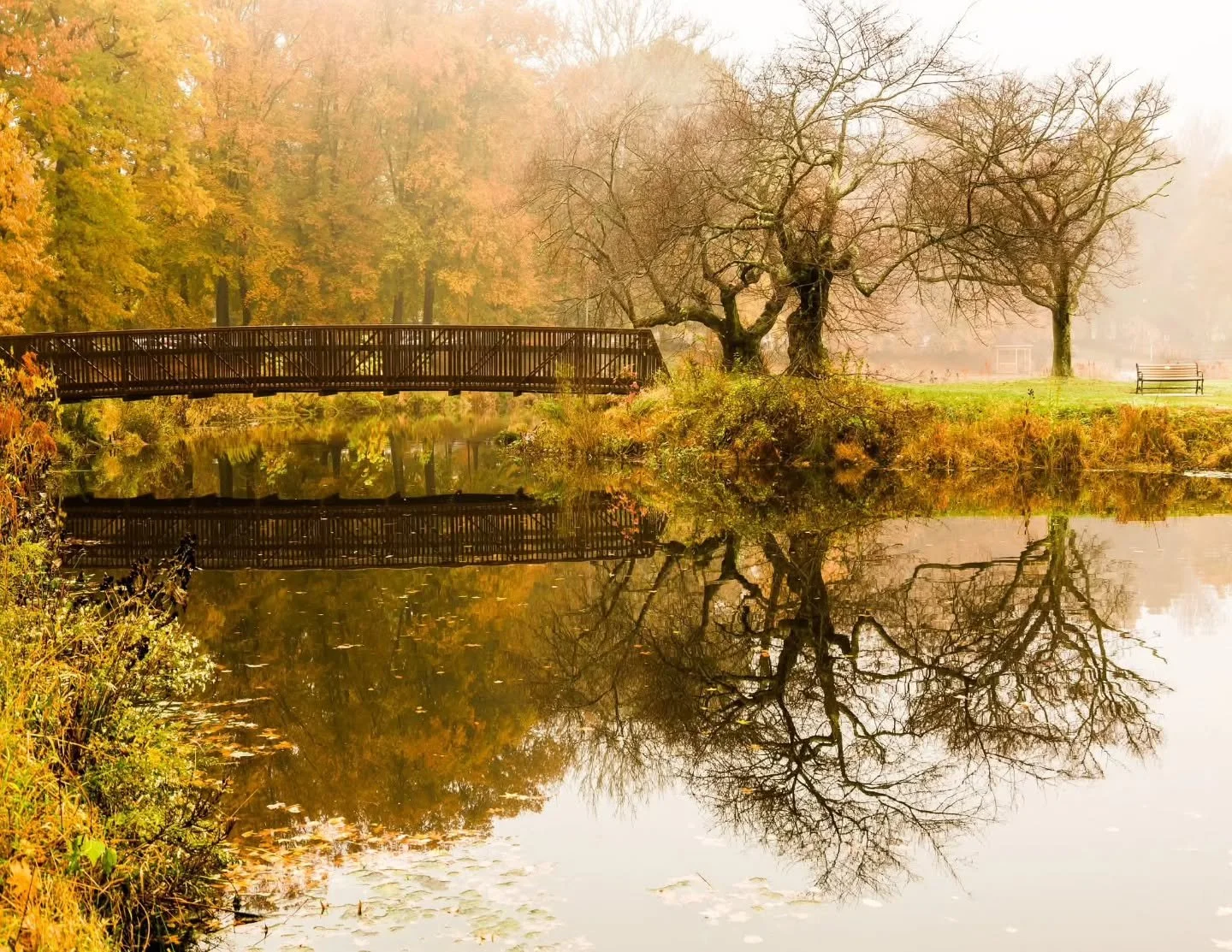 Some things never get old, just better every time you see them.
Enjoy the parks now, foliage is leaving us. 

Autumn Mist by Linda Lyons 🌳

#autumnvibes #autumn #autumncolors #olmstedparks #olmstedlegacy #nomaheganpark #onlyinnewjersey #just_uniteds