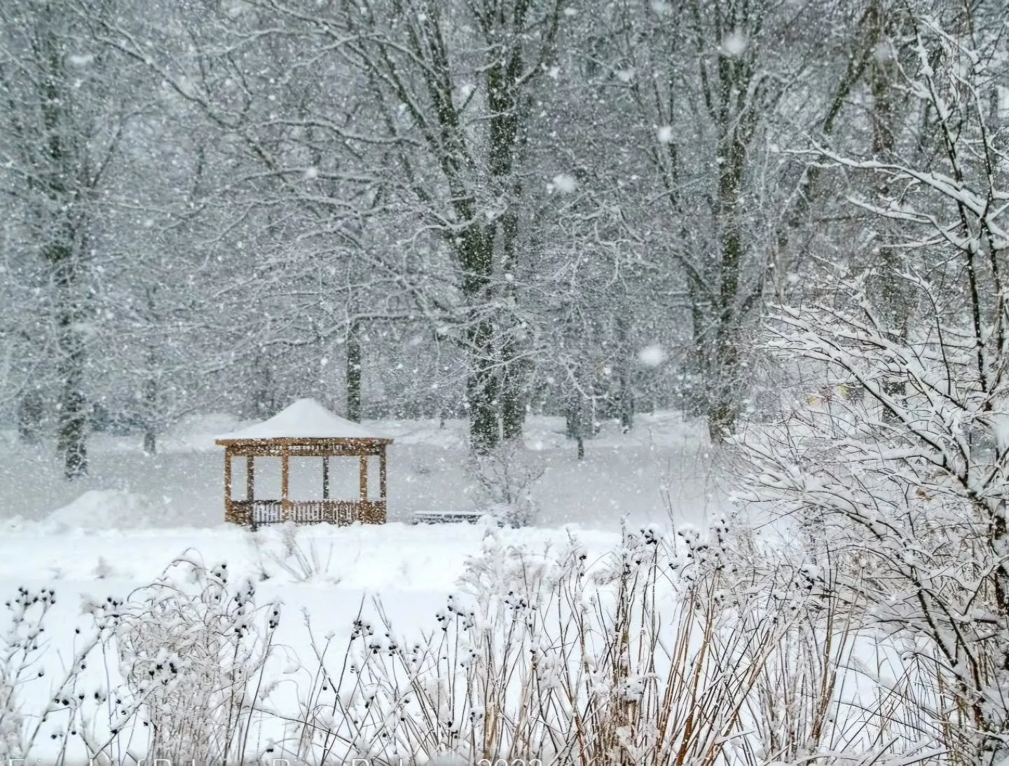 Today marks the Winter Solstice, the shortest day of the year and a gentle invitation to find peace in winter&rsquo;s stillness. 

Picture 📸: Nomahegan Park by Diane Metz 

#WinterSolace #RahwayRiverParkway #loveyourparks
#preservation #olmstedlegac