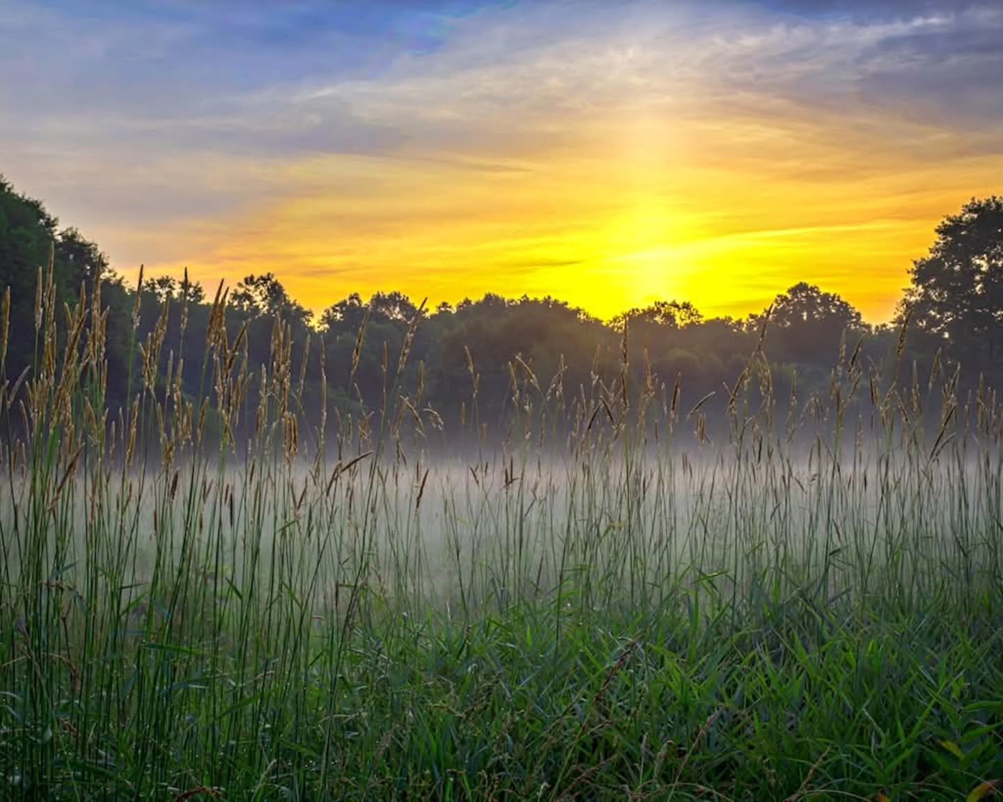 As we near the end of the year, our hearts are full of gratitude. 💚
Our organization exists because of people like you: neighbors, volunteers, advocates, photographers, and park lovers who care deeply about the green spaces that connect our communit