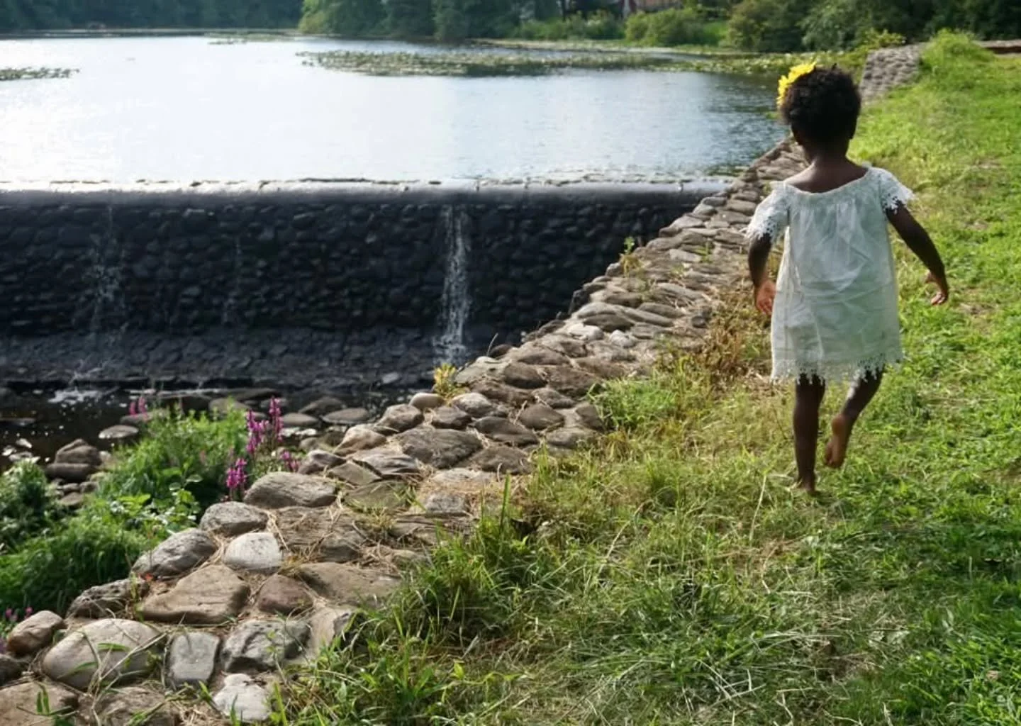 A new year begins with small, hopeful steps. 🌿

As we walk into the year ahead, may we visit our parks more often, feel the grass beneath our feet, follow winding paths, and let nature steady in  and inspire us. Each visit is a reminder of how deepl