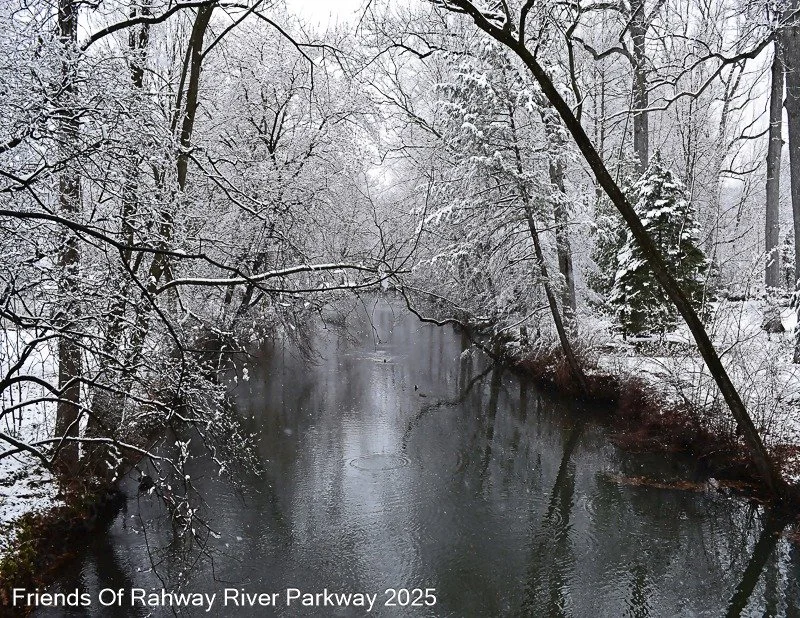 A quiet river, snow-dusted trees, and a moment to breathe. ❄️
As a new year begins, the Rahway River reminds us that every season brings its own beauty, stillness in winter, renewal in spring, and endless reasons to protect the places that ground us.