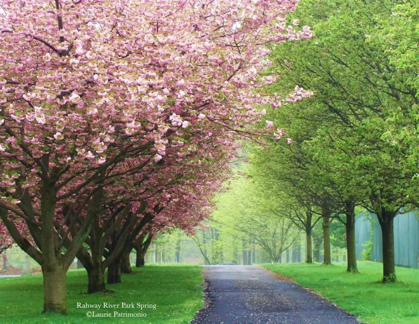 🌷✨ On the Eve of Spring&hellip; ✨🌷

It&rsquo;s almost here.

After a long winter, we&rsquo;re standing right at the edge of something beautiful. The air feels softer, the light lingers just a little longer, and the first hints of green are ready to