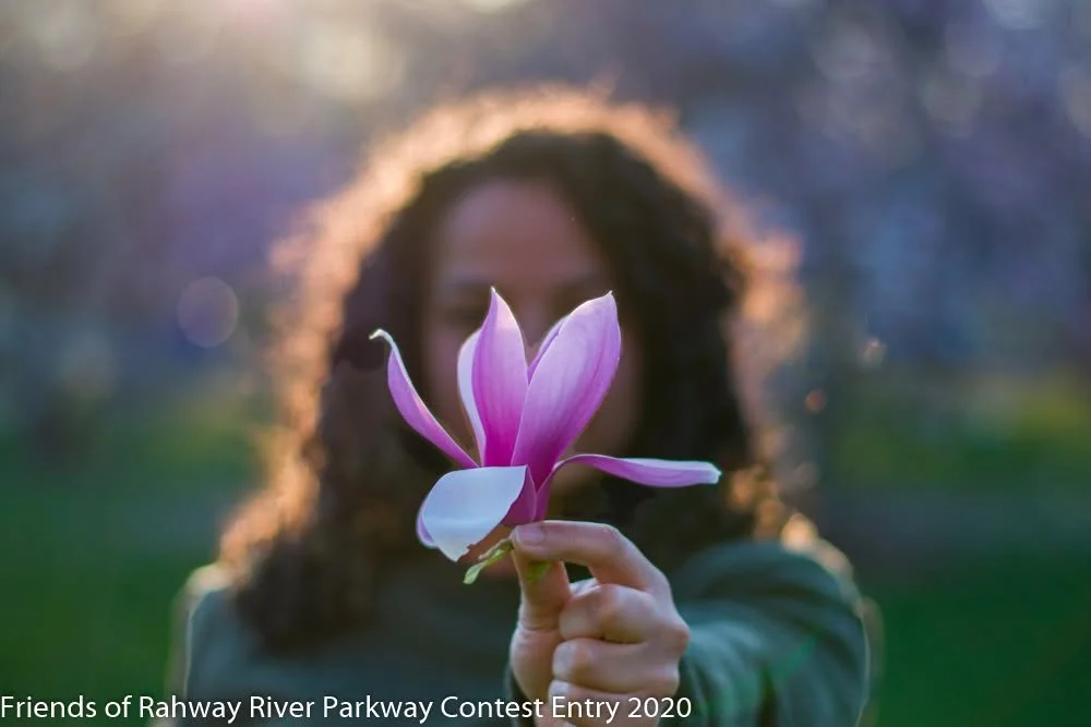🌸✨ Hello, Spring! ✨🌸

It&rsquo;s official, Spring has arrived at 10:46 AM! 🌿

A new season begins, bringing longer days, warmer sunshine, and the return of color and life to our beautiful parks. Buds will bloom, trees will awaken, and the Rahway R