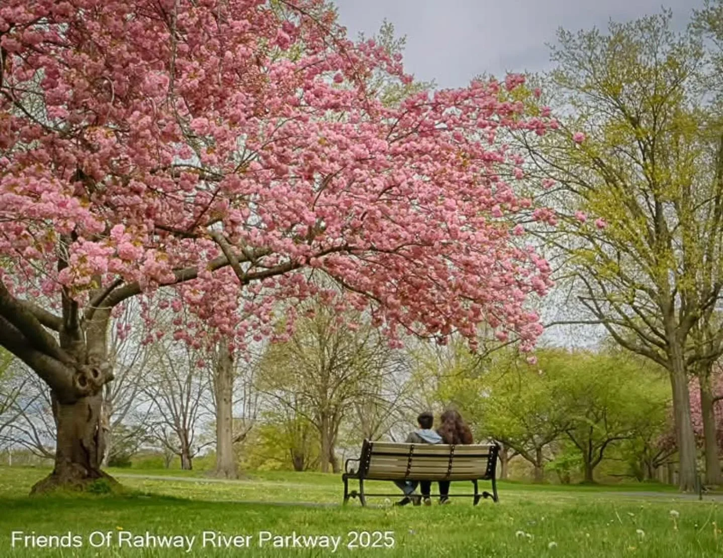 April is here, and with it comes a beautiful reminder that new beginnings are all around us. 🌸

Our parks are waking up in full color, with blossoms bursting to life, fresh greens filling the landscape, and longer days inviting us back outside. It&r