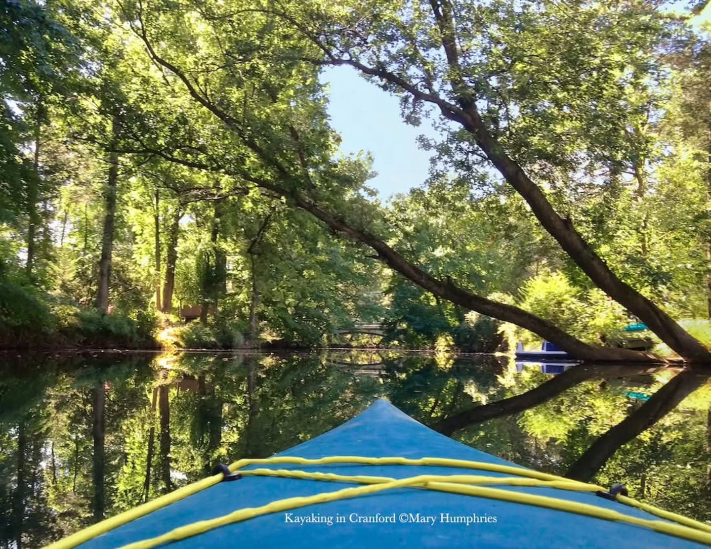 Looking forward to some of this vibe. 🌳🌳🌳

Photo by Mary Humphries, Rahway River (Cranford)

#friendofrahwayriverparkway #naturelover #rahwayriver 
#forrp #njparks
