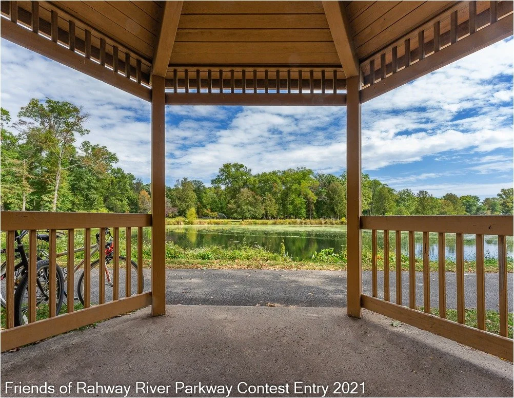 The day is picture-perfect for a walk! And remember to take a photo and enter our contest! Either a fun park photo of your pup or the wonderful views! Let's go!! 🌳🌳

Photo by Leonard McDonald taken at Nomahegan Park

#loveyourparks #nomaheganpark #