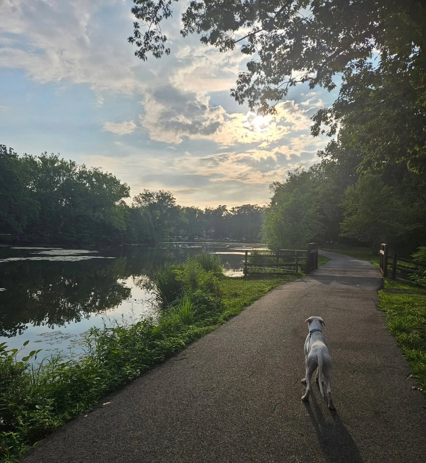 Meet Blanca! One of our Pupparazzi in the RR Parkway Photo Contest entries! She loves visiting Rahway River Park! 🌳🐾🌳

"Hello, my name is Blanca. I walk every day. I love to go around the lake.. I also enjoy the big green field...and all the 