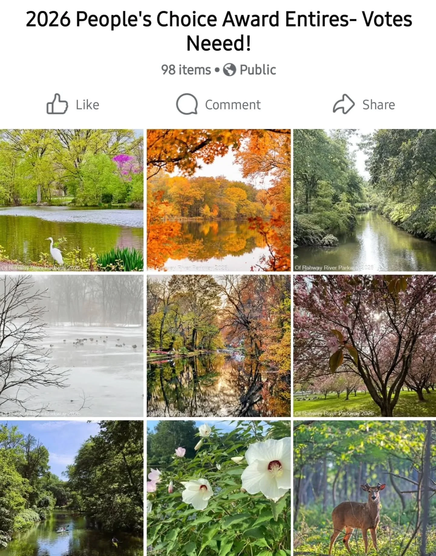 📸 ATTENTION PARK FRIENDS! WE NEED YOUR VOTES! 🌳

Attention! Our People&rsquo;s Choice Award is back for the 2026 Rahway River Parkway Photo Contest!

We&rsquo;re excited to showcase the wonderful photographs submitted by our talented park friends t