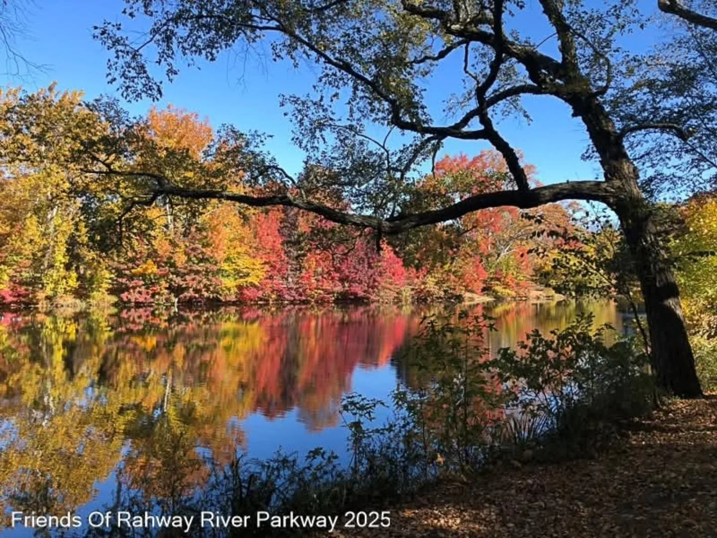 HELLO, OCTOBER! 🍁

A new month is here, and the Rahway River Parkway is putting on one of its most spectacular shows of the year!

Our October featured photo from the 2026 Rahway River Parkway Calendar captures the breathtaking beauty of autumn at R