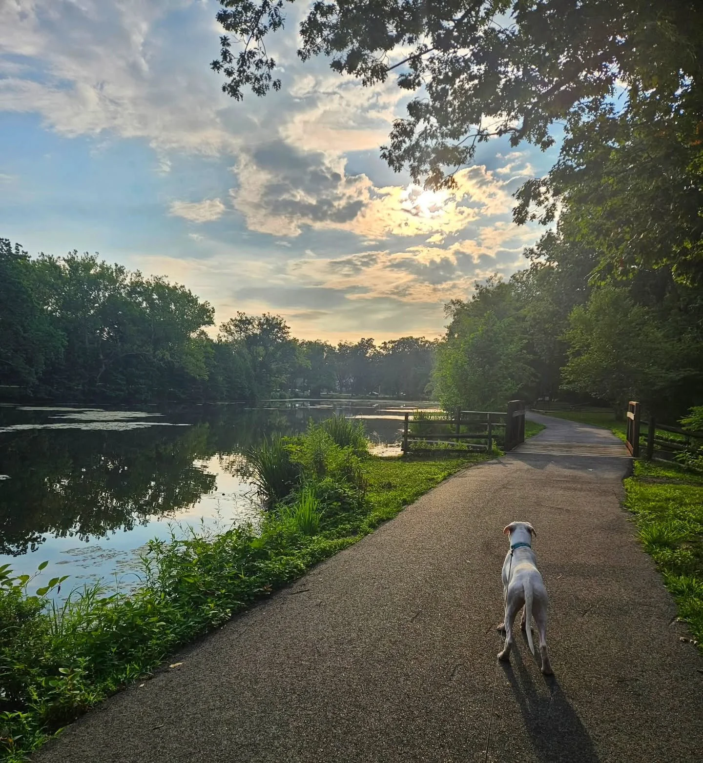 🐾 AND THE PUPPARAZZI ON THE PARKWAY WINNERS ARE&hellip;! 🐾

The votes are in, the tails are wagging, and it&rsquo;s time to celebrate our winning pups! ❤️ A HUGE thank-you to everyone who participated in our Pupparazzi on the Rahway River Parkway P