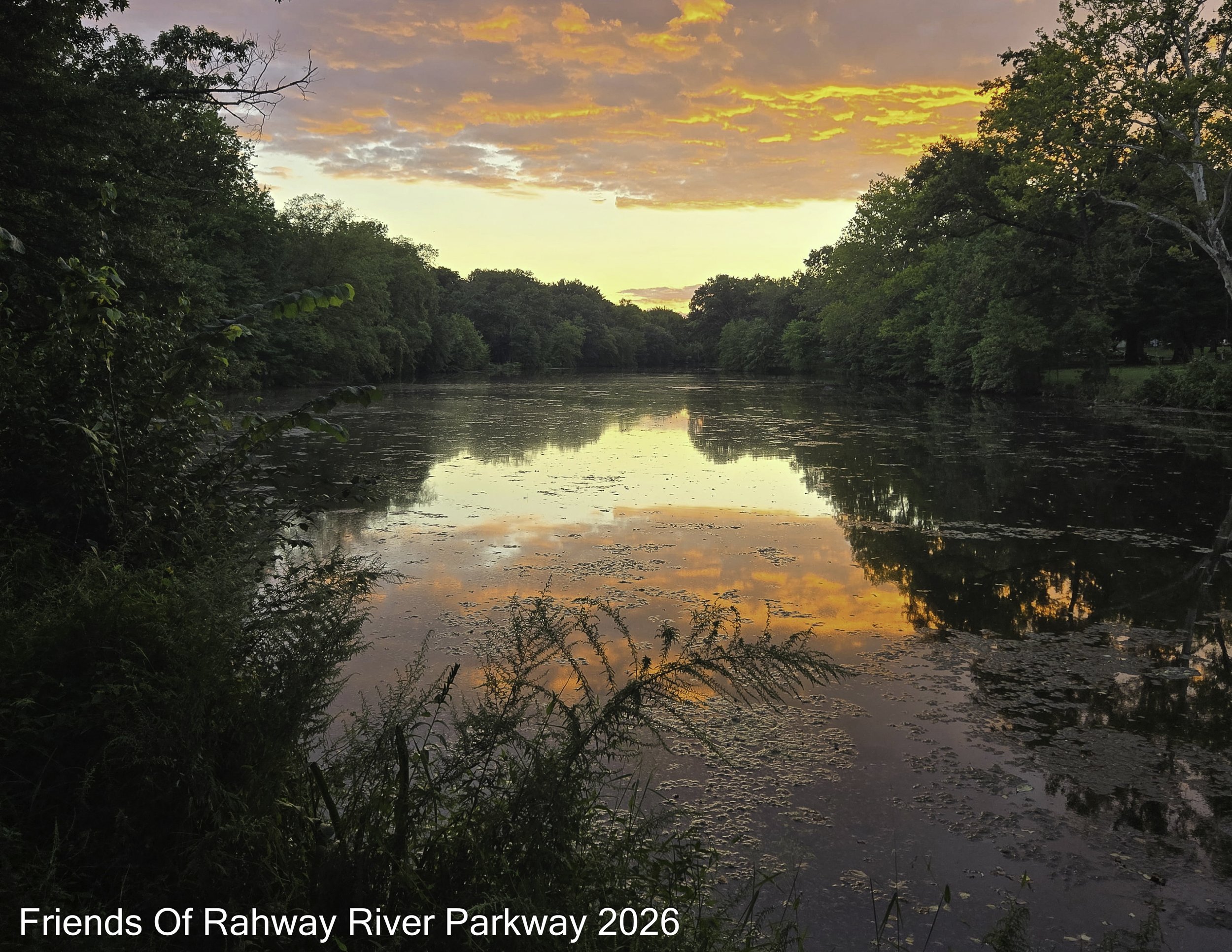 Oct: "Summer Dusk" - Leala Arnold