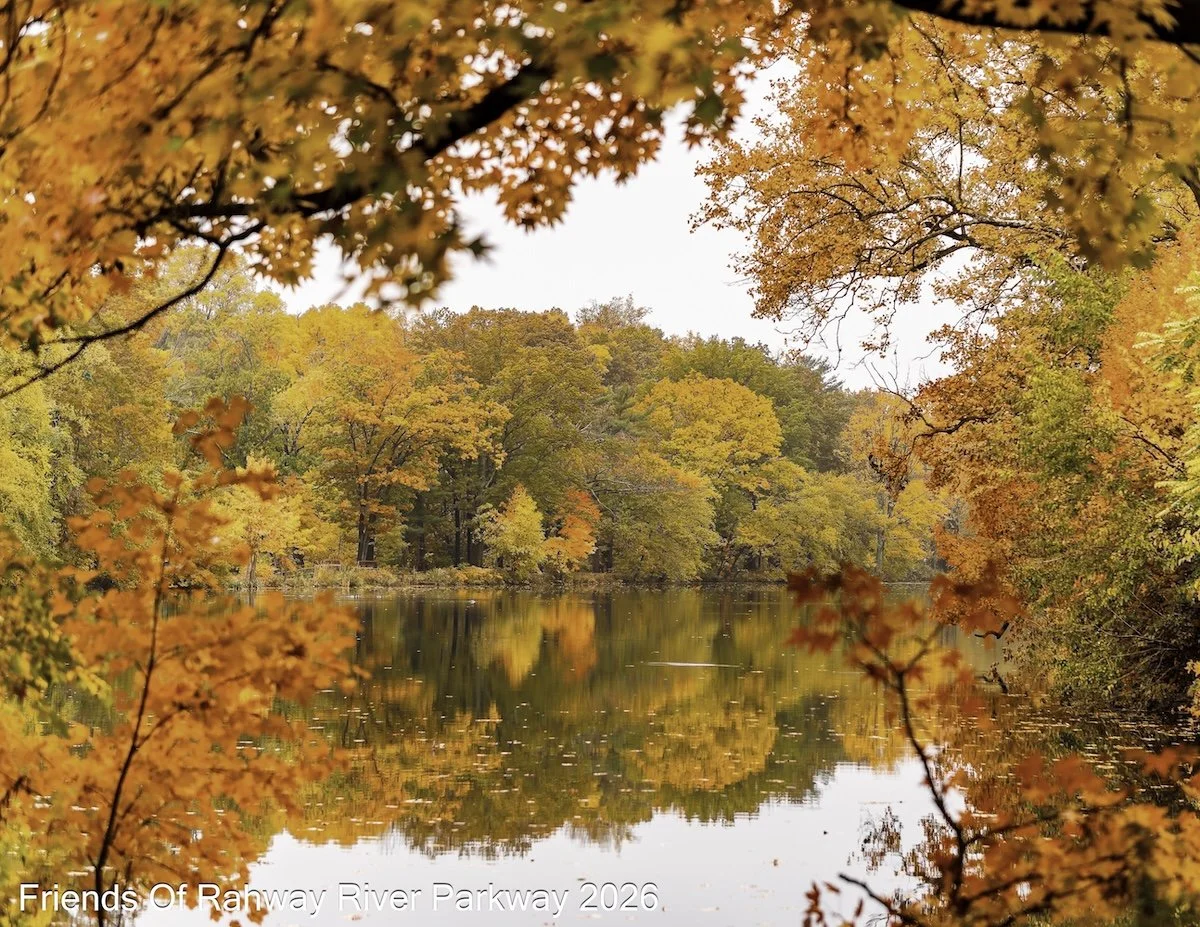 November:  "Autumn" - Joanny Fernandez