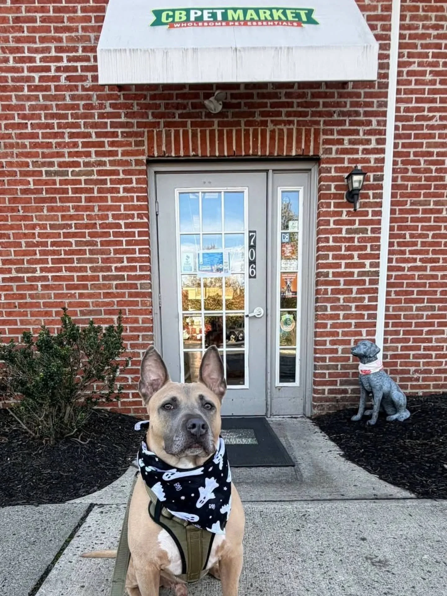 Hey there Archer! Our 2nd Place Winner picked up his prize bag of goodies! He is one handsome pup! Thanks @cbpetmarket  for sponsoring. 🐾❤️🌳

#Pupparazzi #RahwayRiverParkway #forrpdogs #loveyourparks #dogsrule