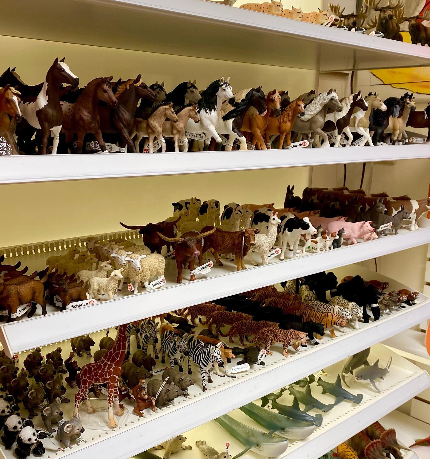 There&rsquo;s a stampede of animals on Last Chance Gulch! 🐴🦕🦒🦓🦈🐏🐄🐼#schleich #justarrived #animals #toyanimals