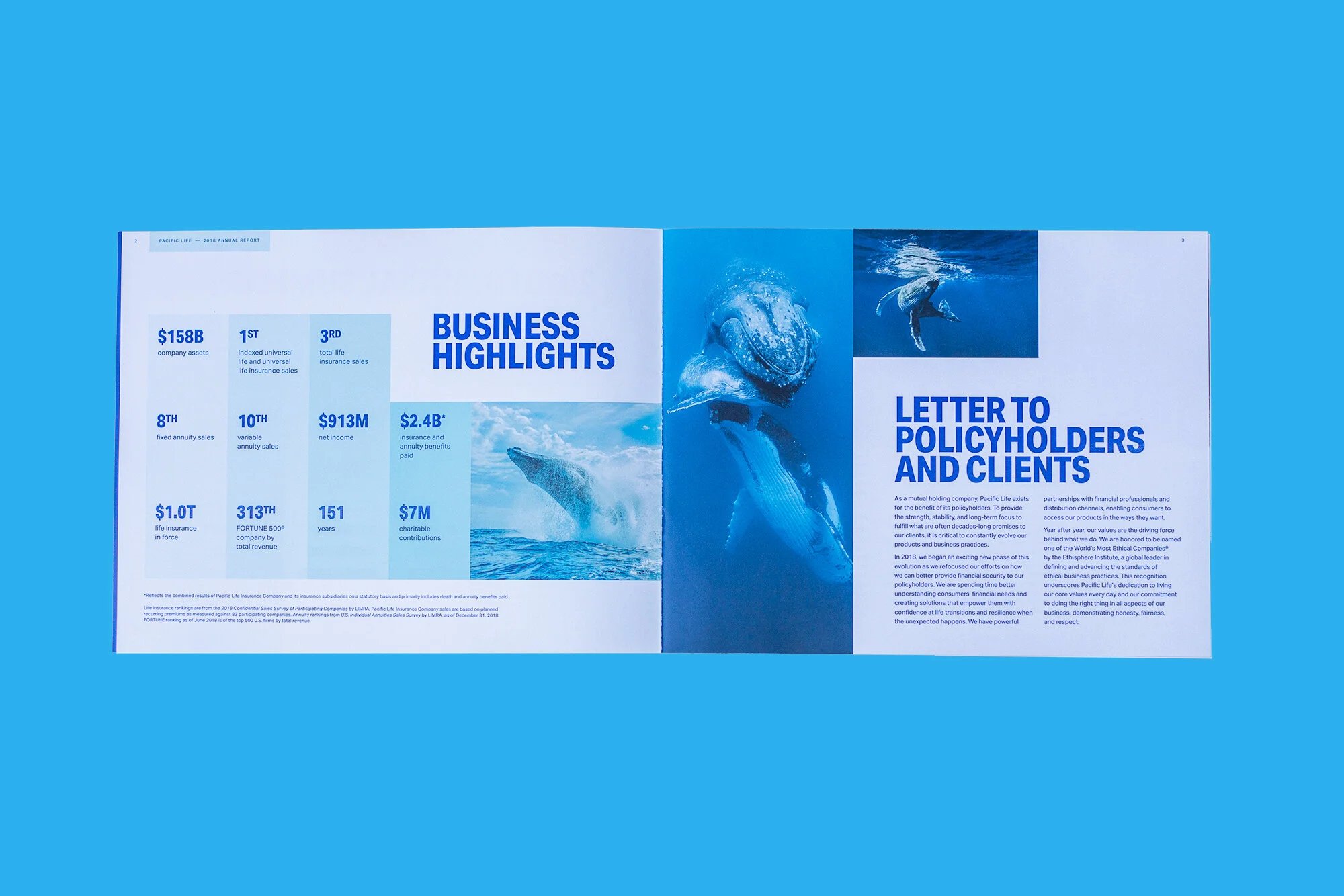 spread5.jpg