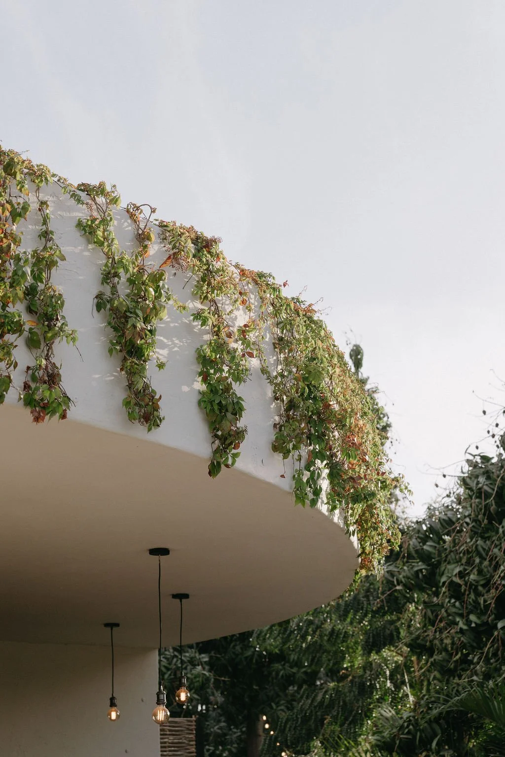 04.21.25 Marissa Jordon Baja Luna Emily B Photography (41).jpg