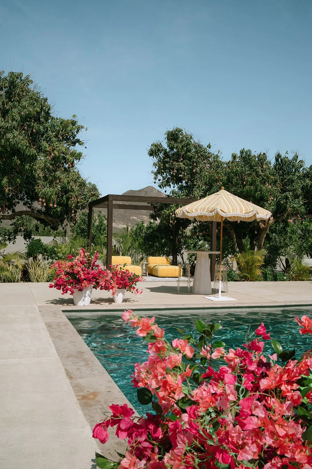 mcweddings-bajaluna-15 (1).jpg