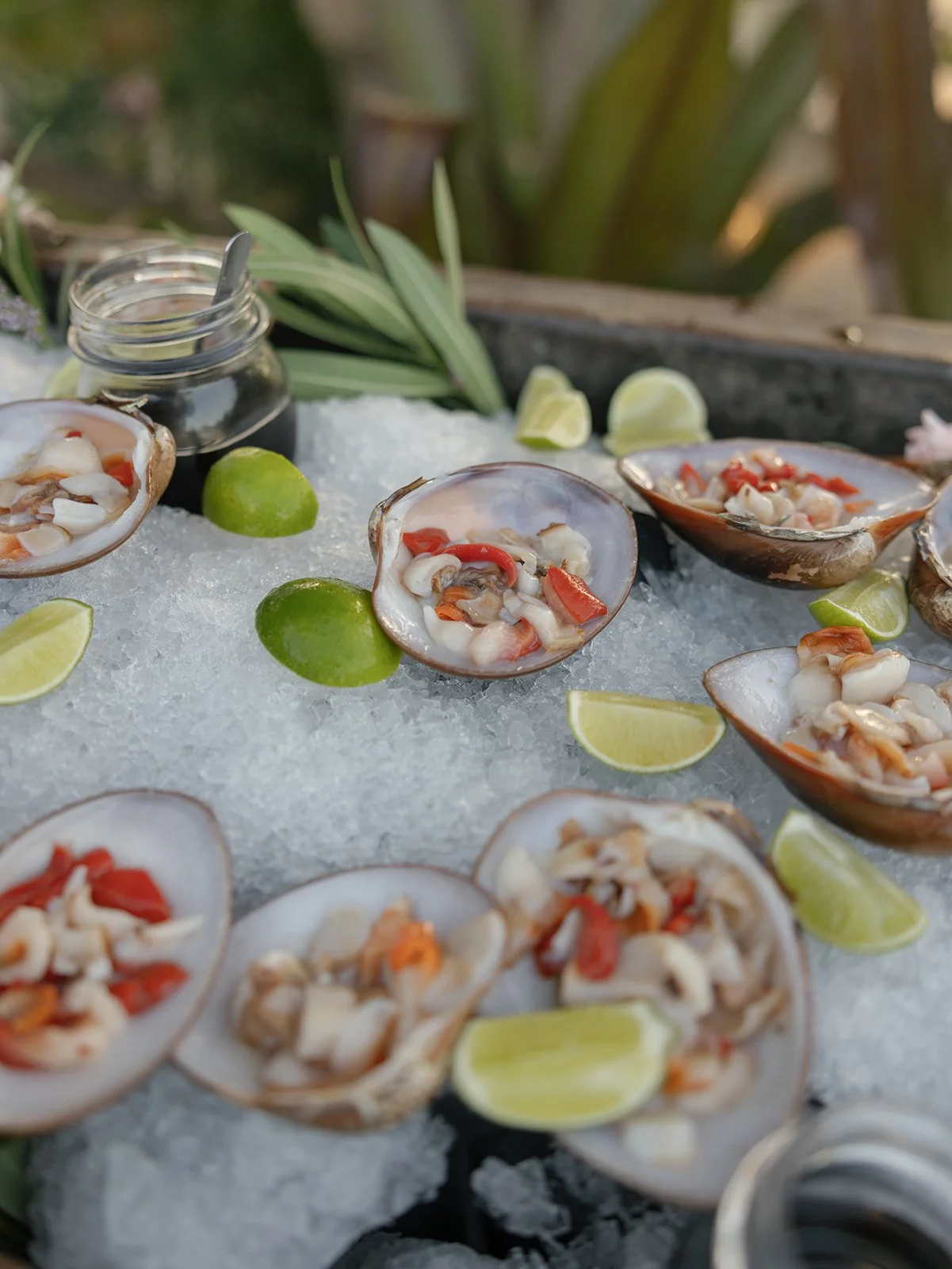 Sydney&AJ-hannahbriphotography-bajaluna-159 (1).jpg