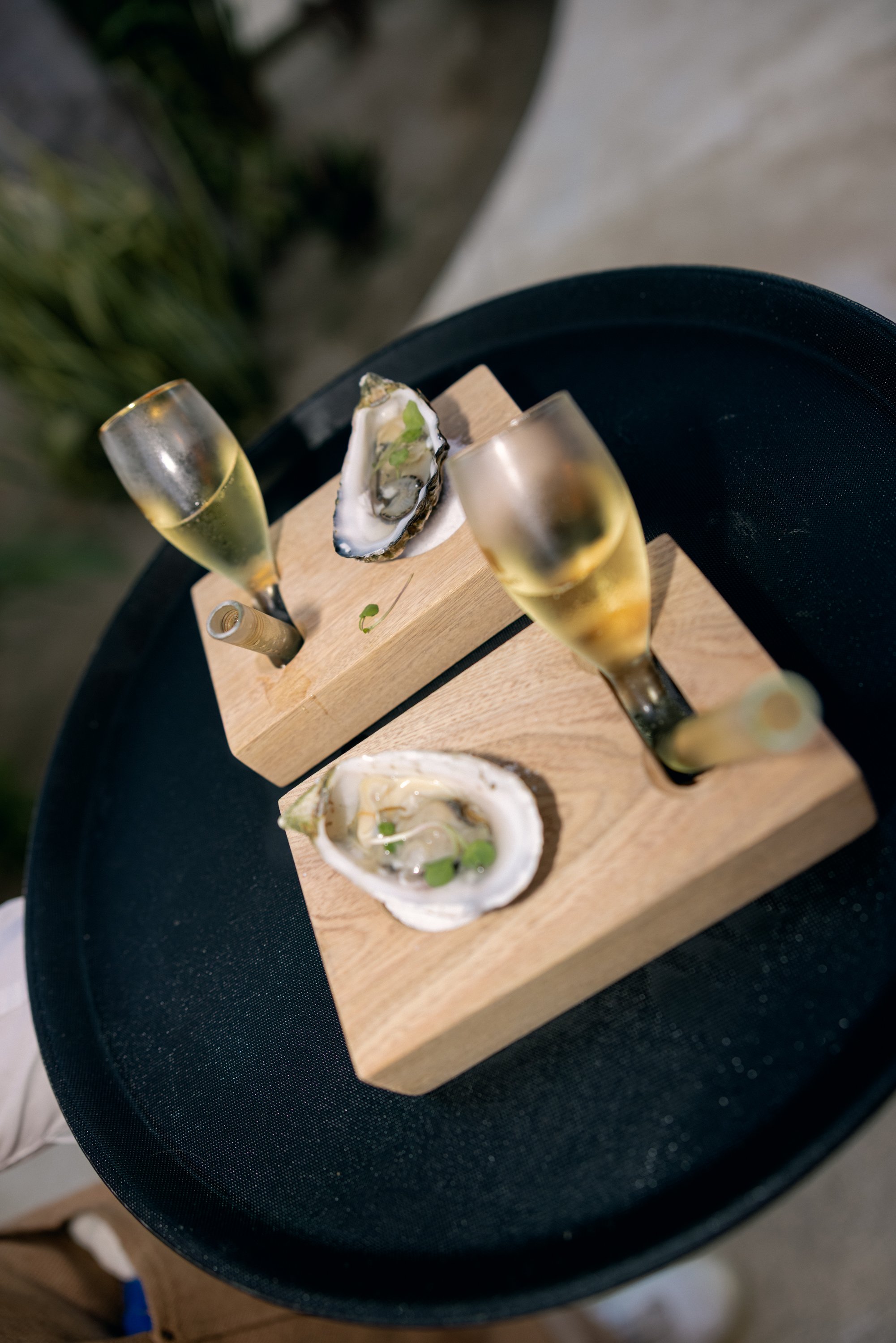 destination-wedding-ceremony-baja-luna-6.jpg