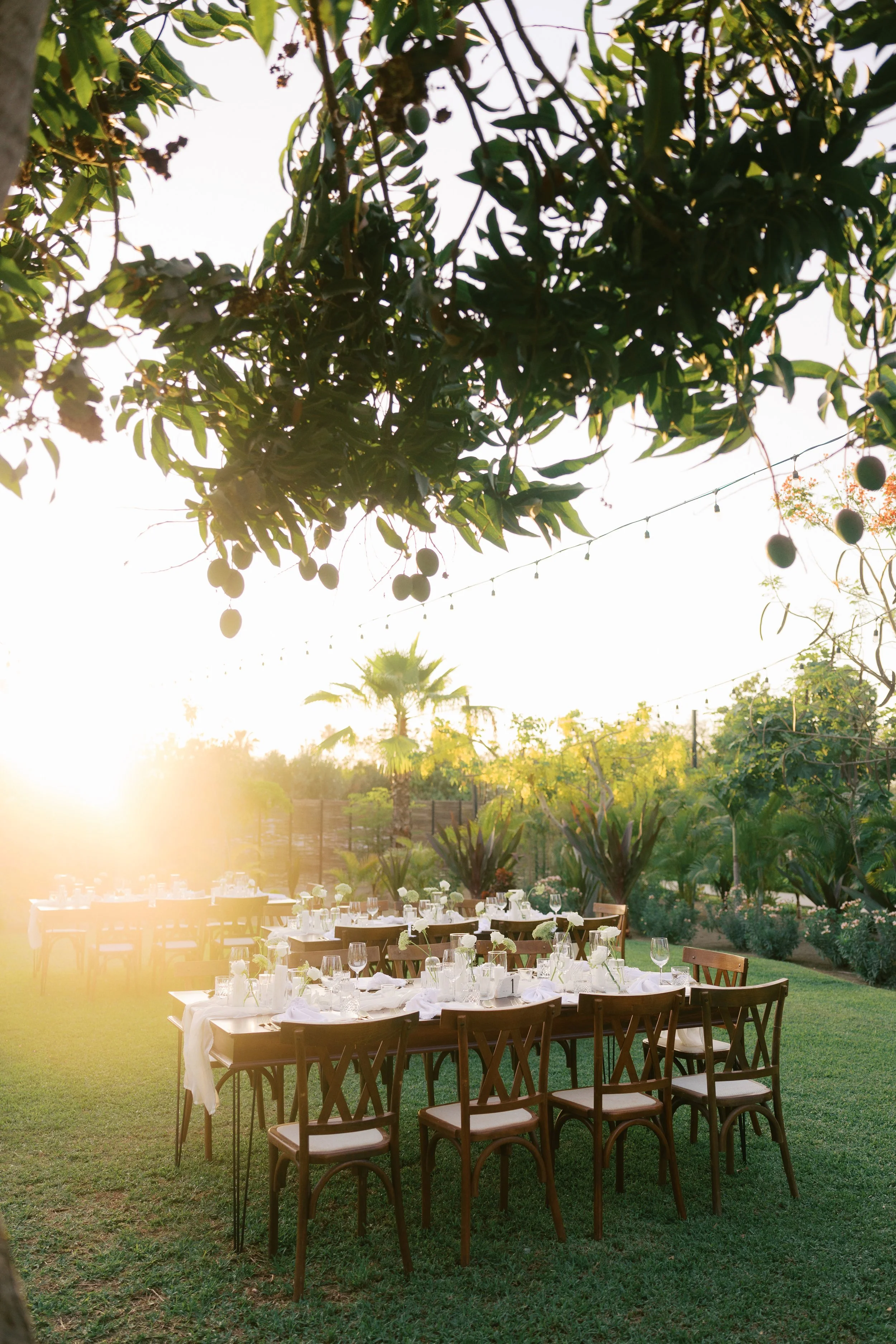 baja-luna-sustainable-farm-to-table-wedding-venue-los-cabos-2.jpg