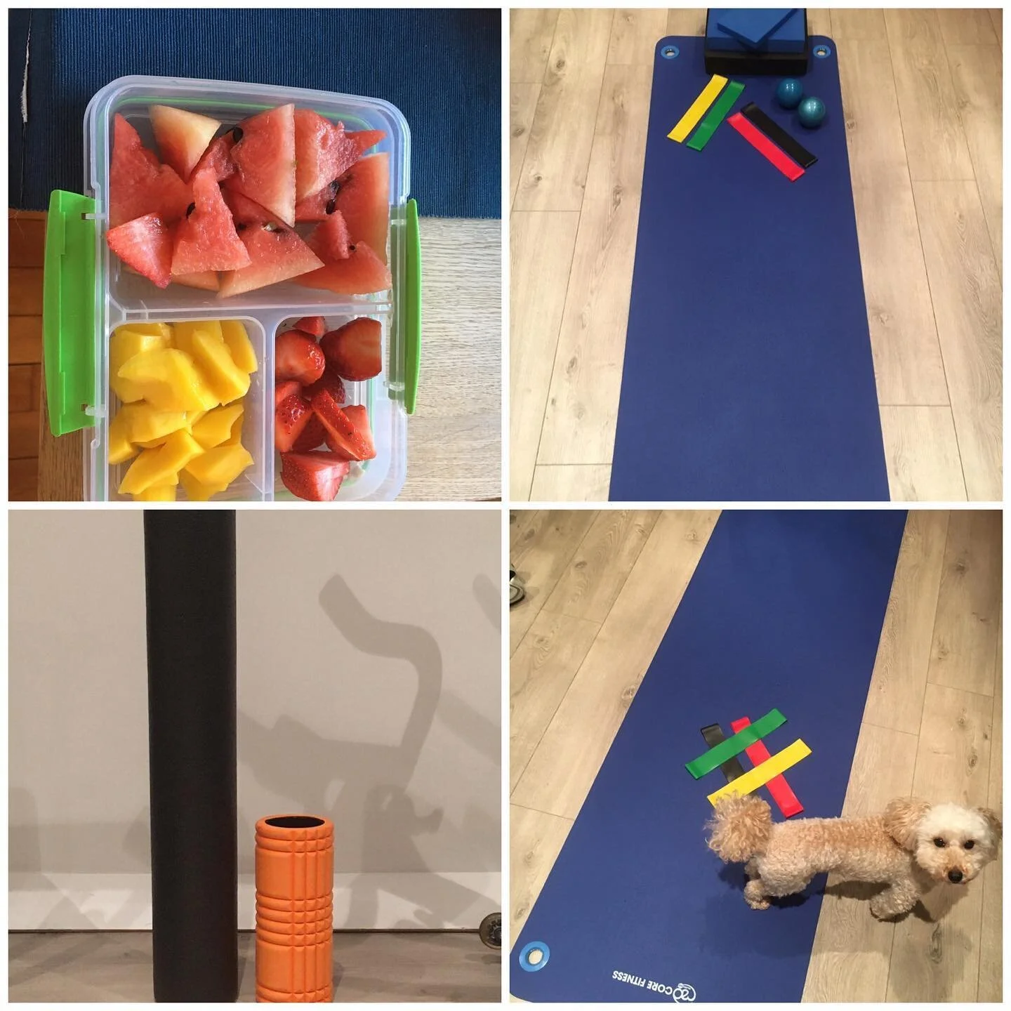 Well fit will be helping clients put plans in place to have a fun and educational weekend! Be prepared know what your going to do and take a friend along! Set for success #fruit#affordablekit#rollerbegoreand after#loladoginthegym#mascot