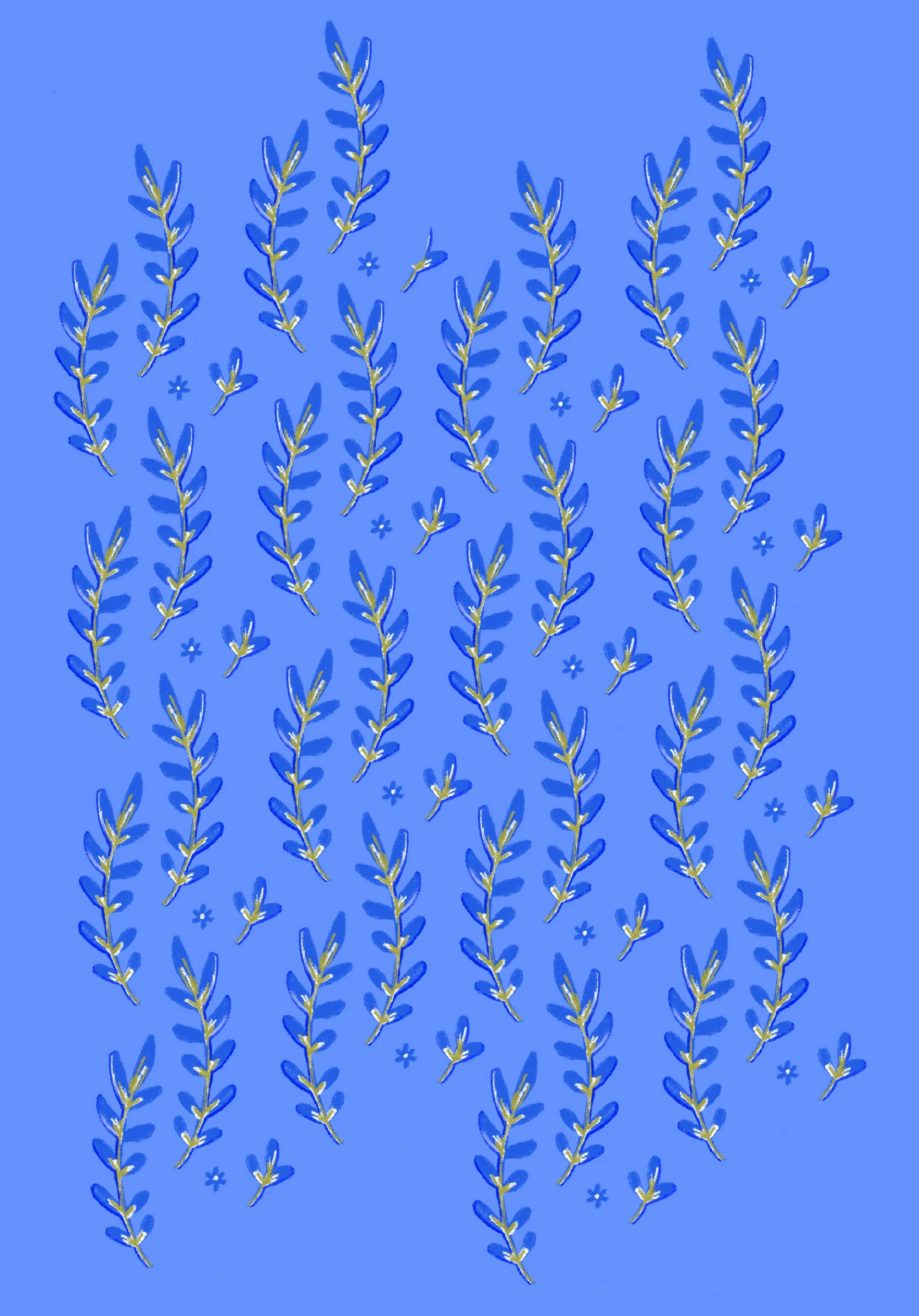 lavenderfields.jpg