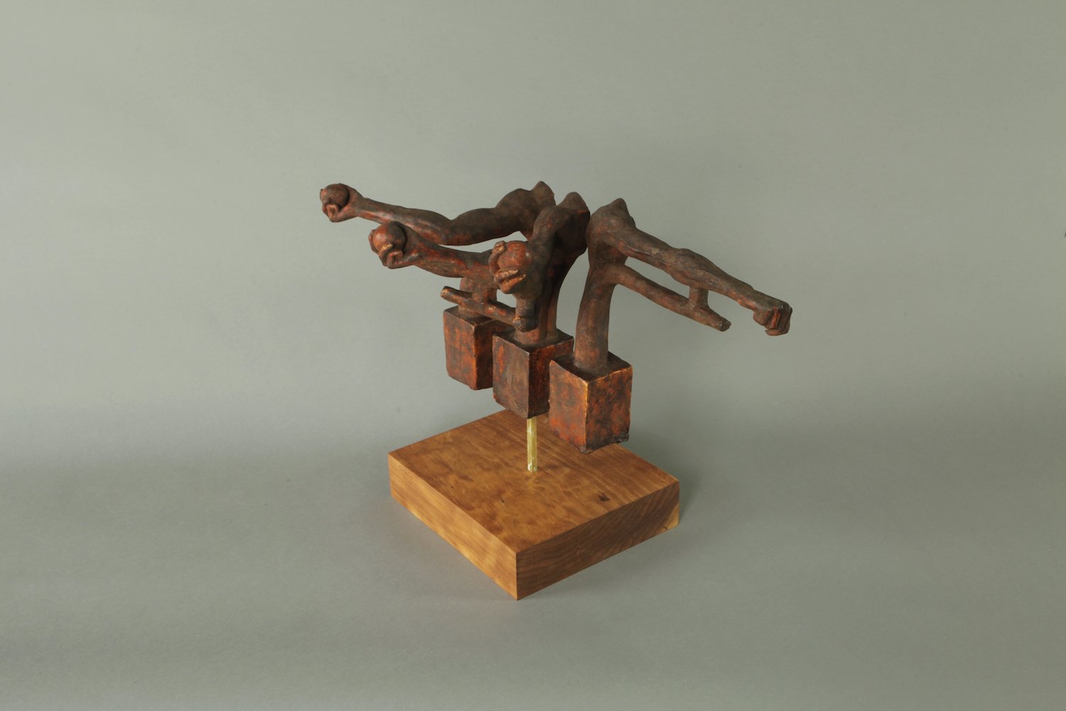 armmotion(2)_45*(Reduced).jpg