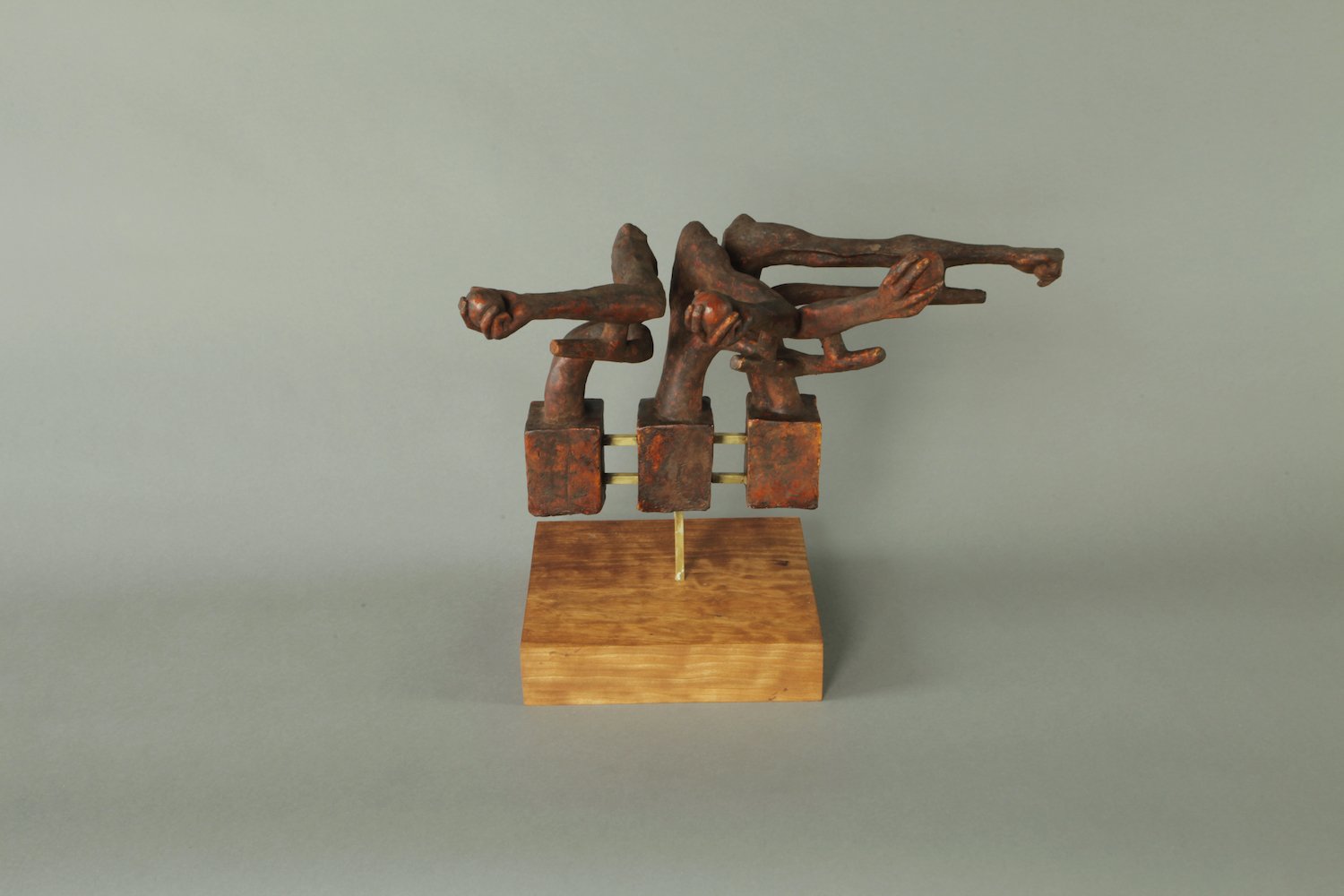 armmotion(2)_0*(Reduced).jpg