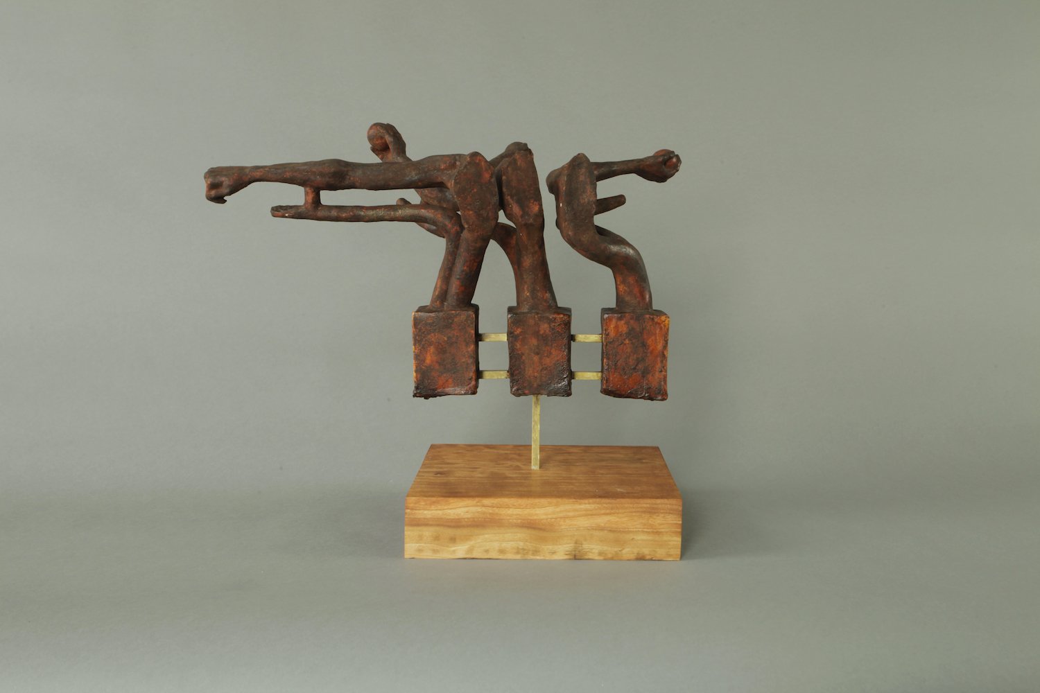 armmotion(1)_180*(Reduced).jpg