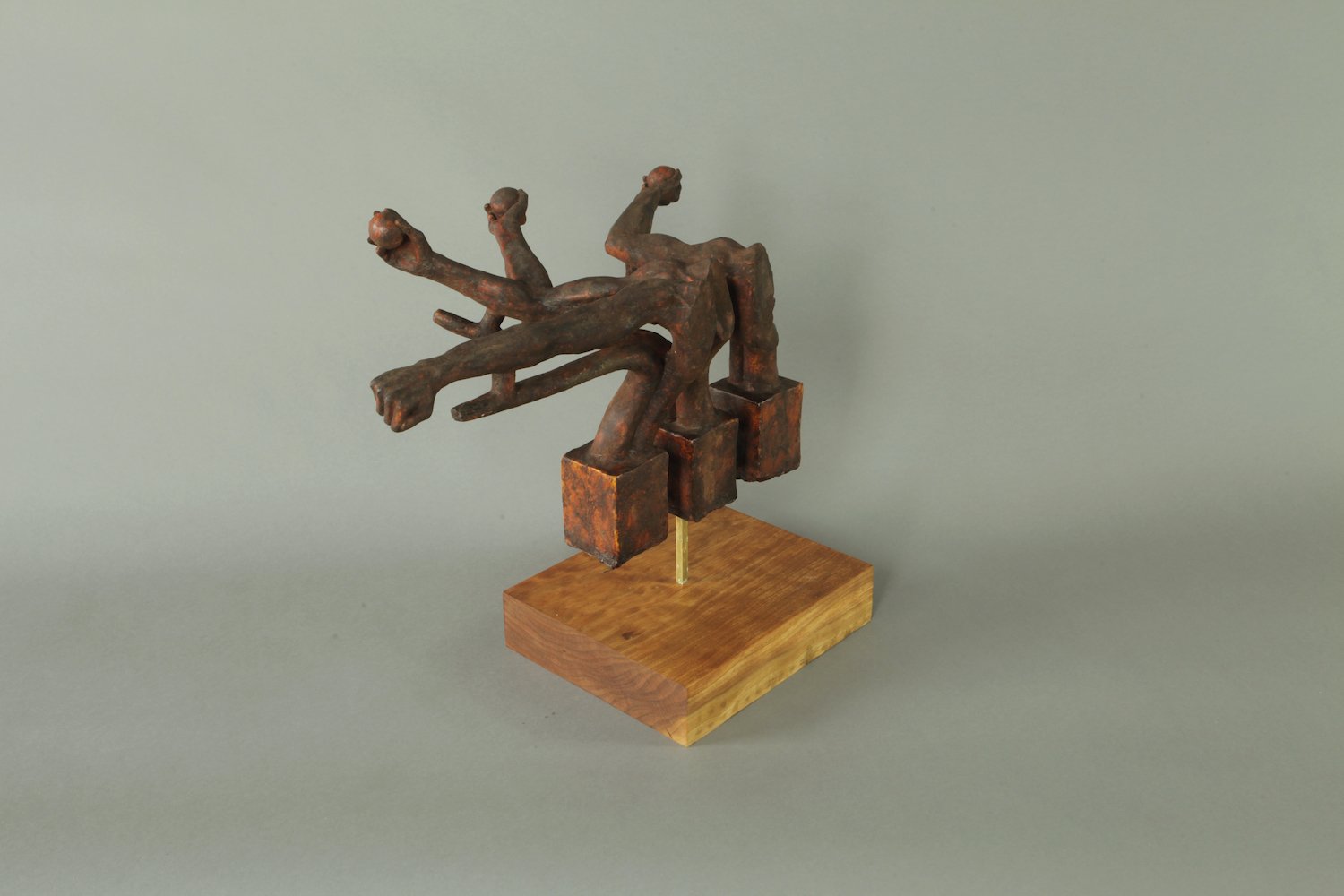 armmotion(2)_135*(Reduced).jpg