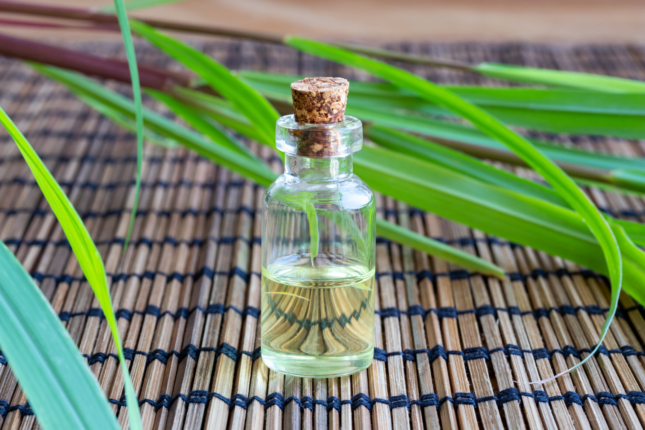 Lemongrass Oil