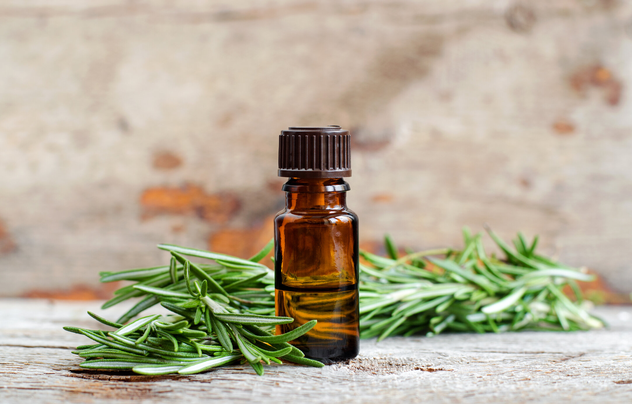 Rosemary Oil Red