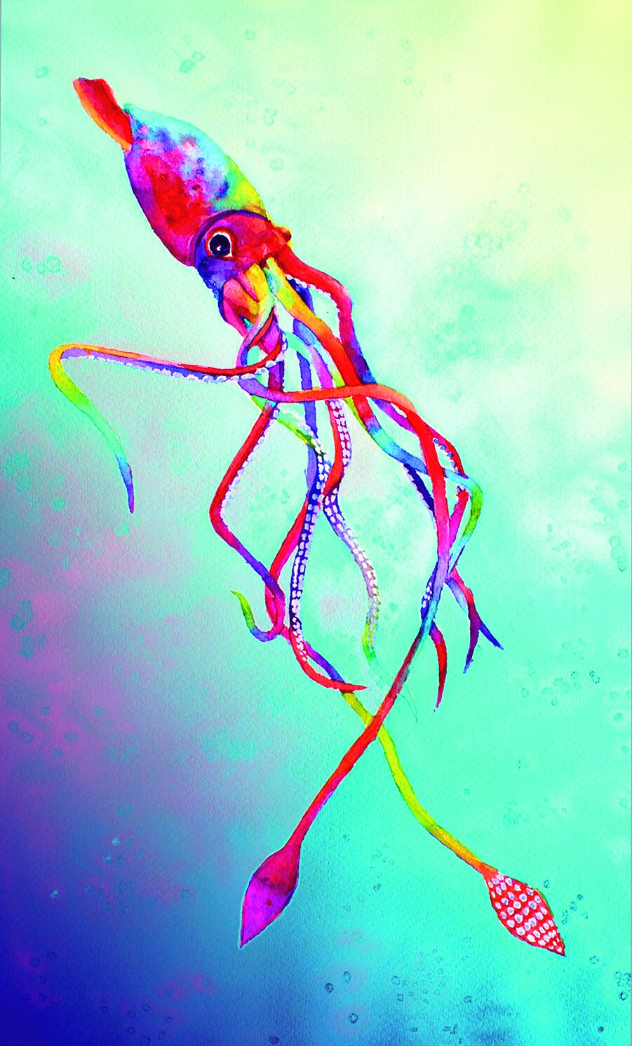 squidcmyk.jpg