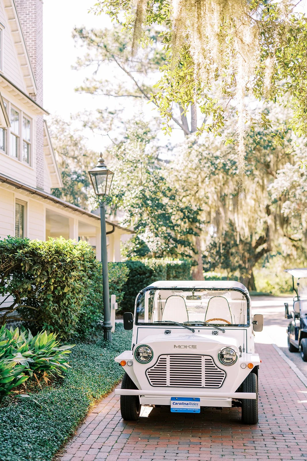 sneak0017_websize (1).jpg